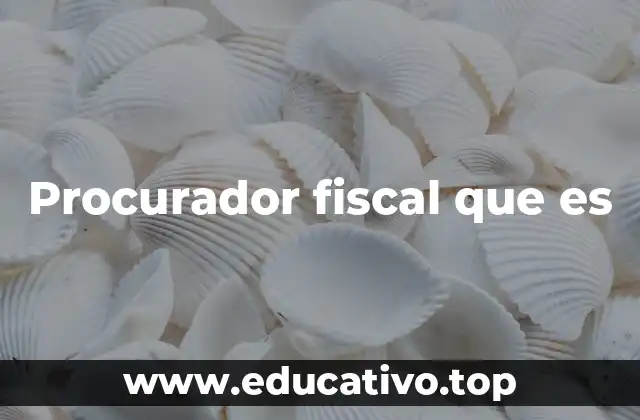 Procurador fiscal que es