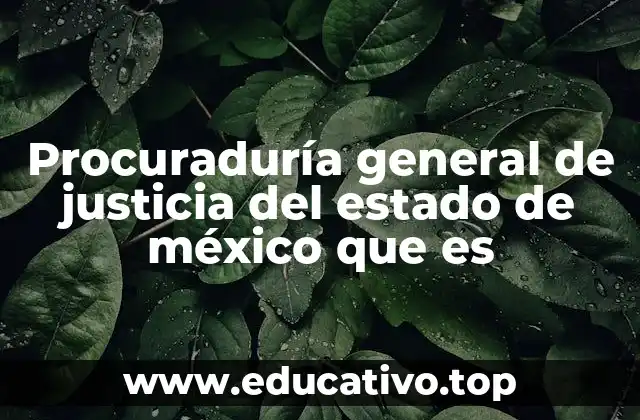 Procuraduría general de justicia del estado de méxico que es