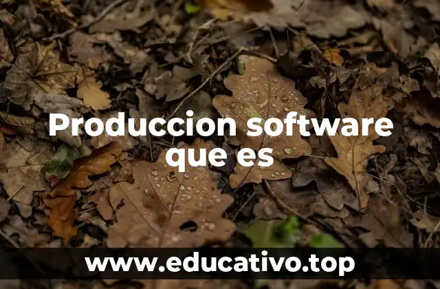 Produccion software que es
