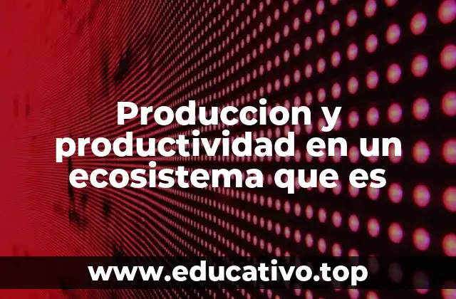 Produccion y productividad en un ecosistema que es