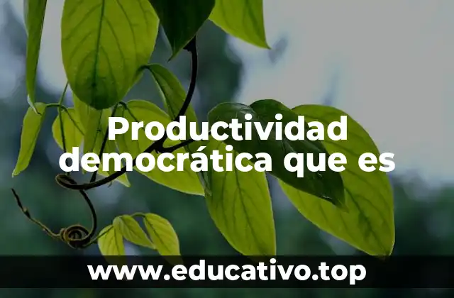 Productividad democrática que es