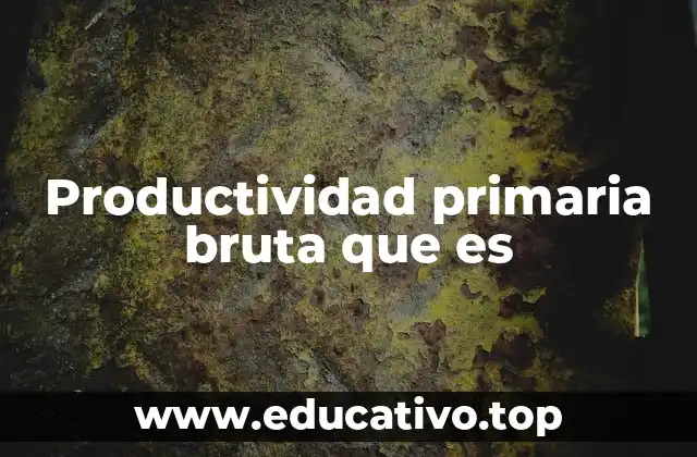 Productividad primaria bruta que es