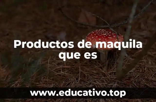 Productos de maquila que es