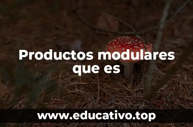 Productos modulares que es