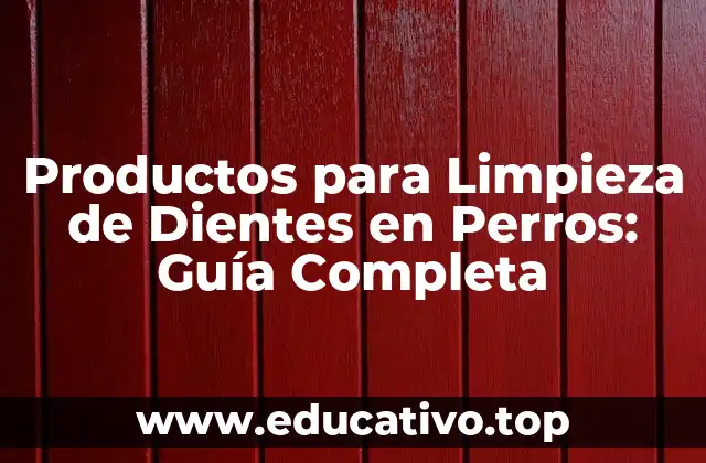 Productos para Limpieza de Dientes en Perros: Guía Completa