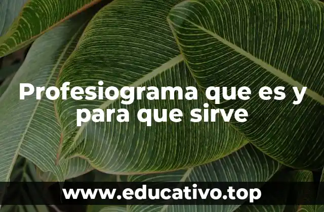 Profesiograma que es y para que sirve