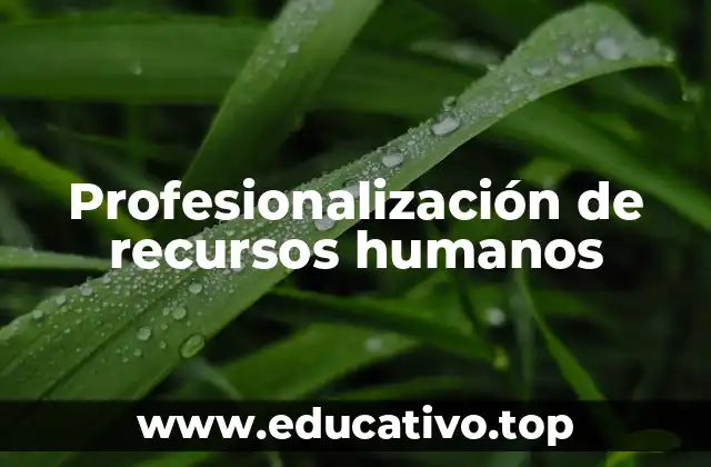 Profesionalización de recursos humanos
