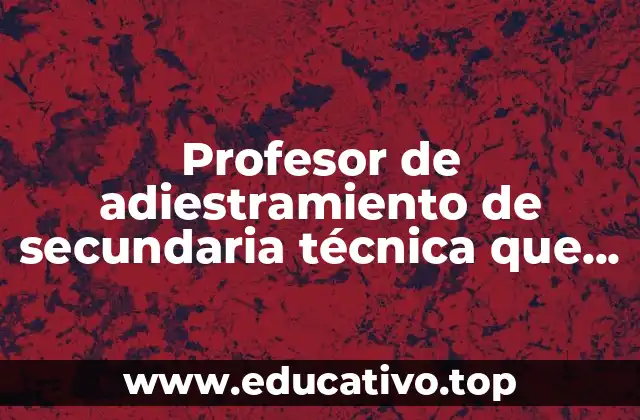 Profesor de adiestramiento de secundaria técnica que es