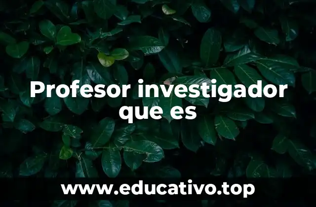 Profesor investigador que es