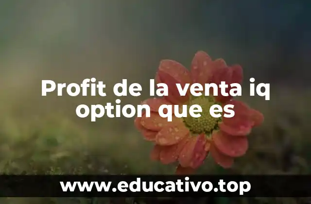 Profit de la venta iq option que es