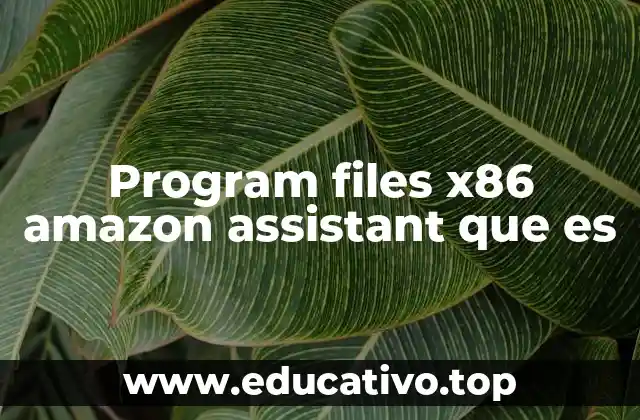 Program files x86 amazon assistant que es