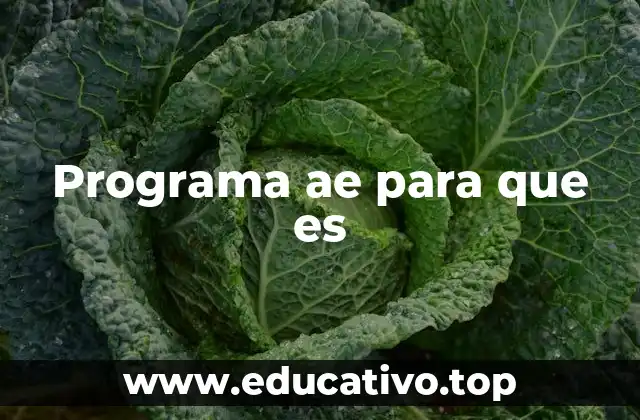 Programa ae para que es
