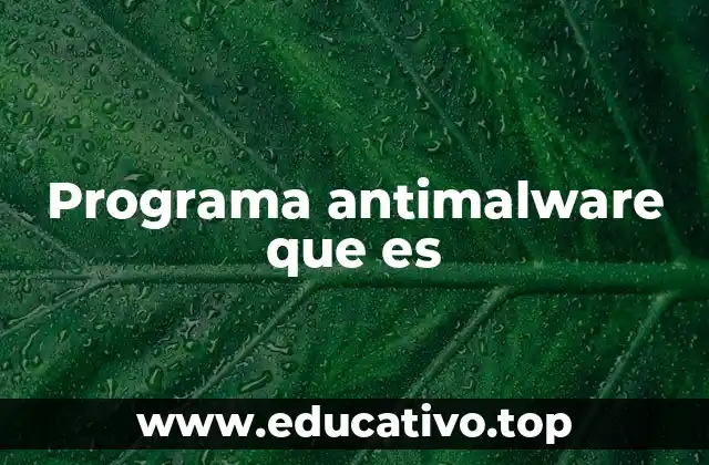Programa antimalware que es