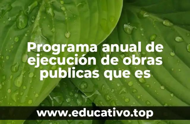 Programa anual de ejecución de obras publicas que es
