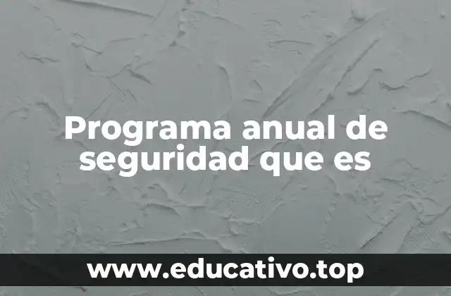 Programa anual de seguridad que es