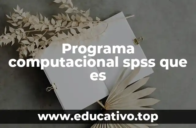Programa computacional spss que es
