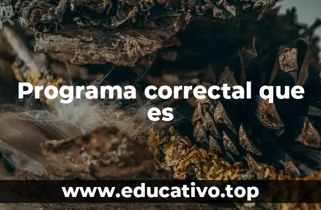 Programa correctal que es