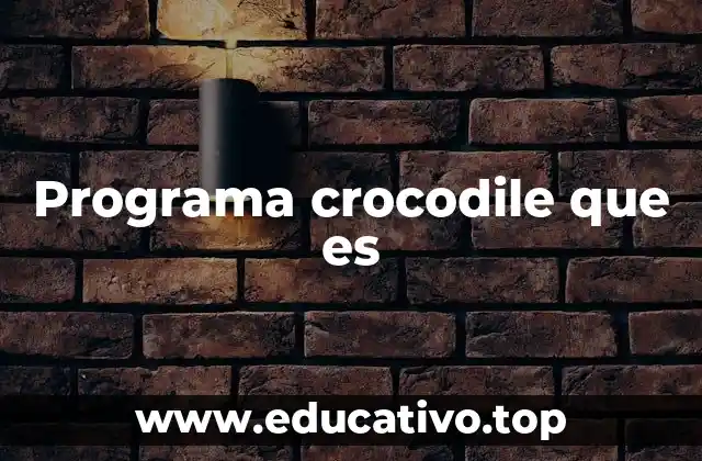 Programa crocodile que es