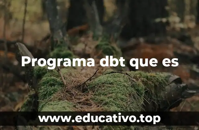Programa dbt que es