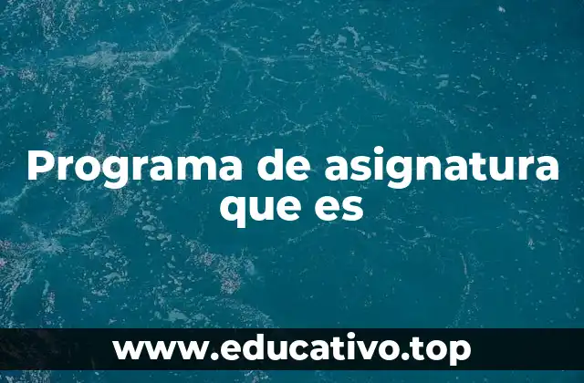 Programa de asignatura que es