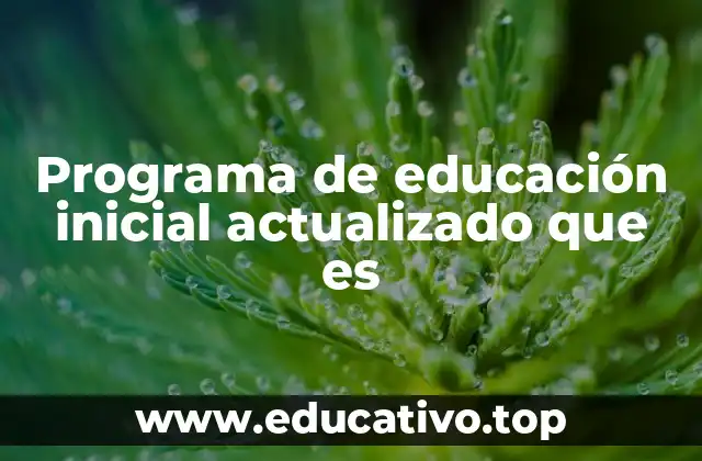 Programa de educación inicial actualizado que es