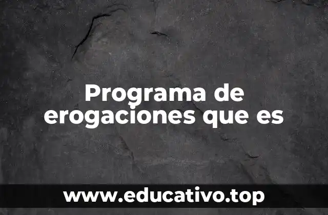 Programa de erogaciones que es