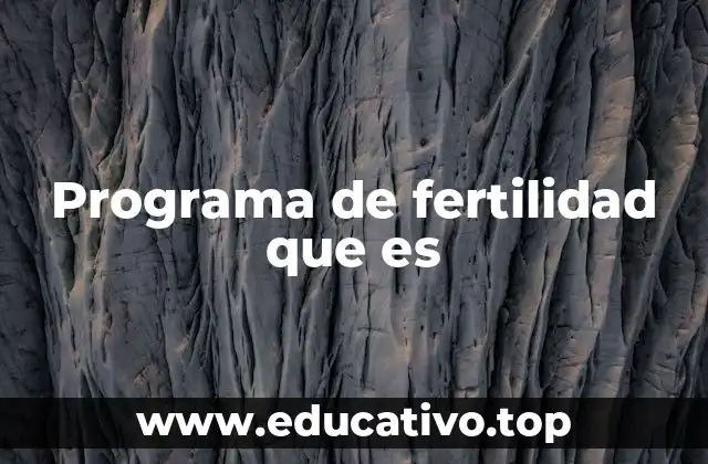 Programa de fertilidad que es