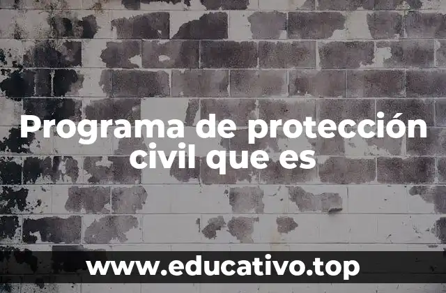 Programa de protección civil que es