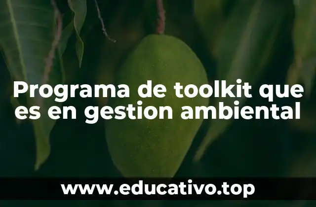 Programa de toolkit que es en gestion ambiental