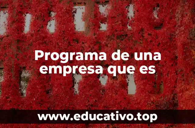 Programa de una empresa que es