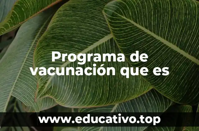 Programa de vacunación que es