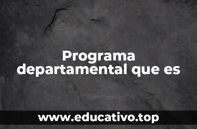 Programa departamental que es