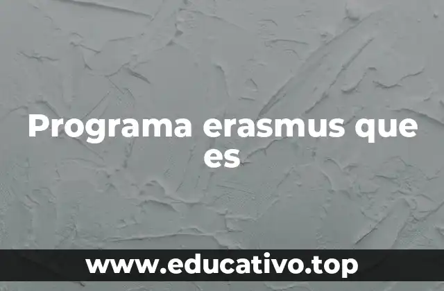 Programa erasmus que es
