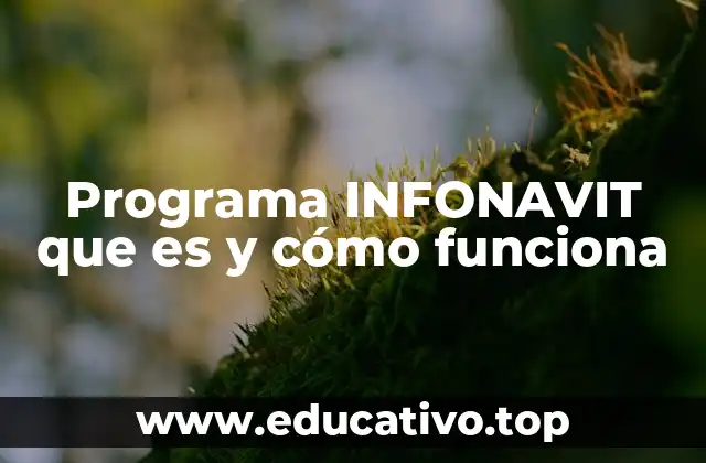 Programa INFONAVIT que es y cómo funciona