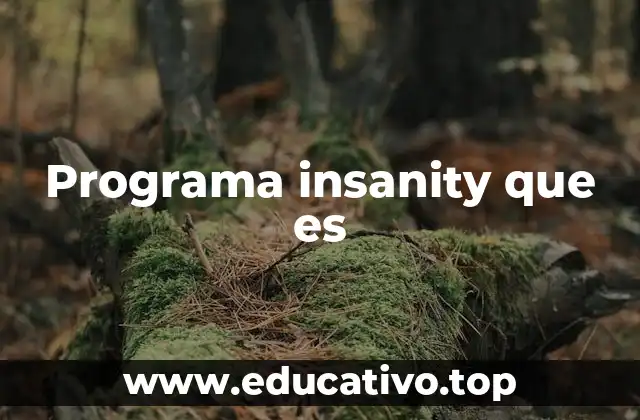 Programa insanity que es