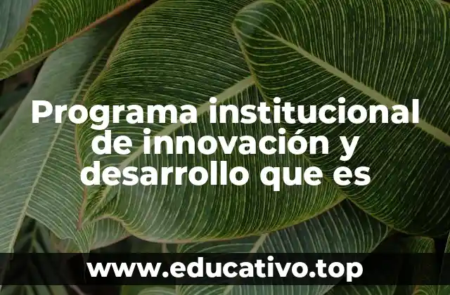 Programa institucional de innovación y desarrollo que es