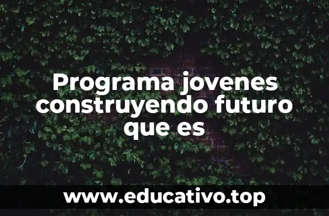 Programa jovenes construyendo futuro que es