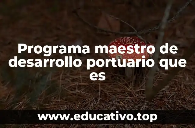 Programa maestro de desarrollo portuario que es