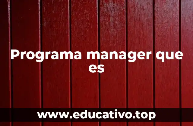 Programa manager que es