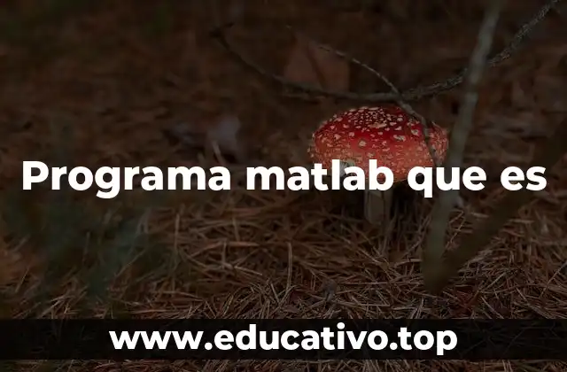 Programa matlab que es
