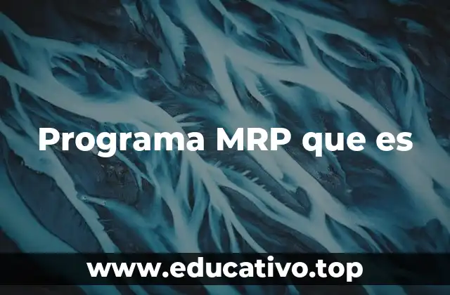 Programa MRP que es