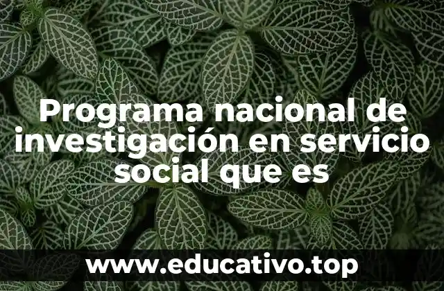 Programa nacional de investigación en servicio social que es