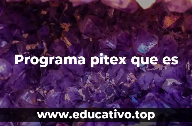 Programa pitex que es