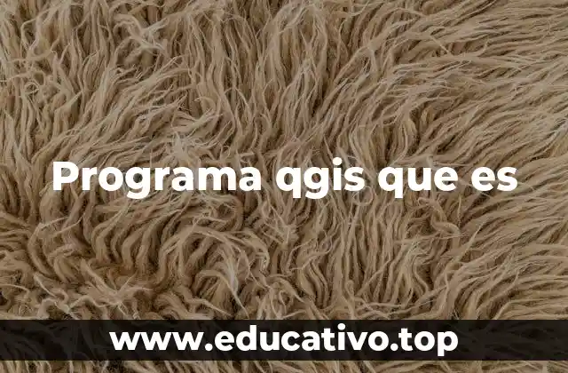 Programa qgis que es