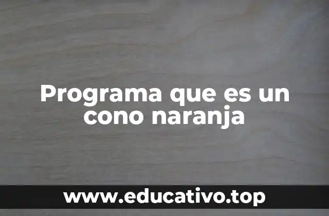 Programa que es un cono naranja