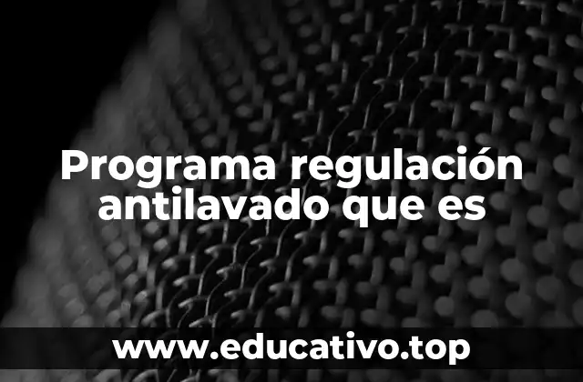 Programa regulación antilavado que es