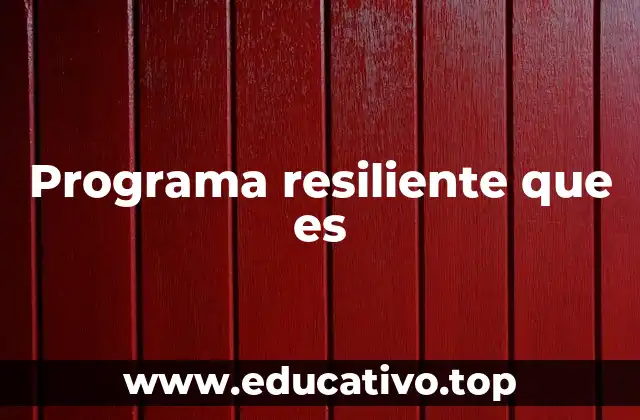 Programa resiliente que es