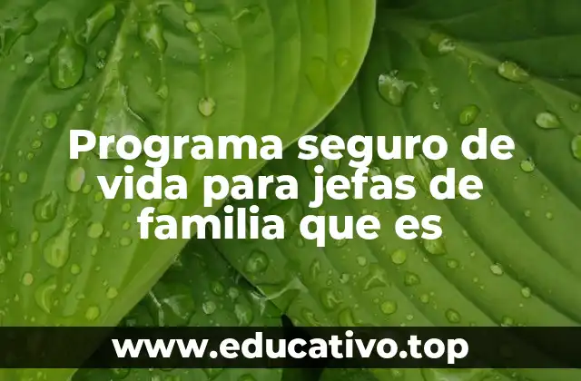 Programa seguro de vida para jefas de familia que es