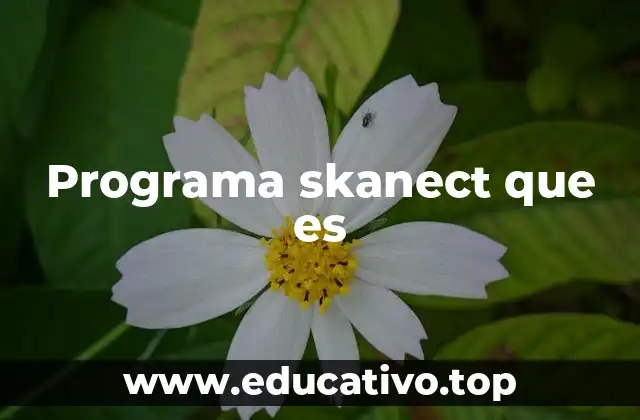 Programa skanect que es