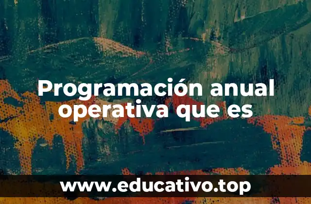 Programación anual operativa que es
